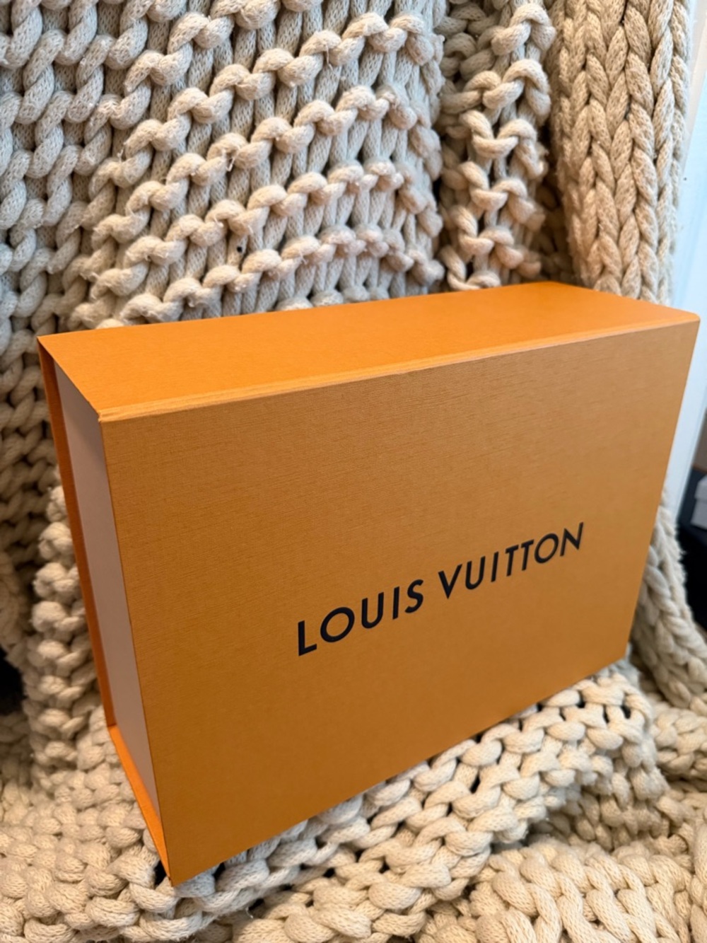 Louis Vuitton Damier Ebene Vavin PM - Picture 7 of 8